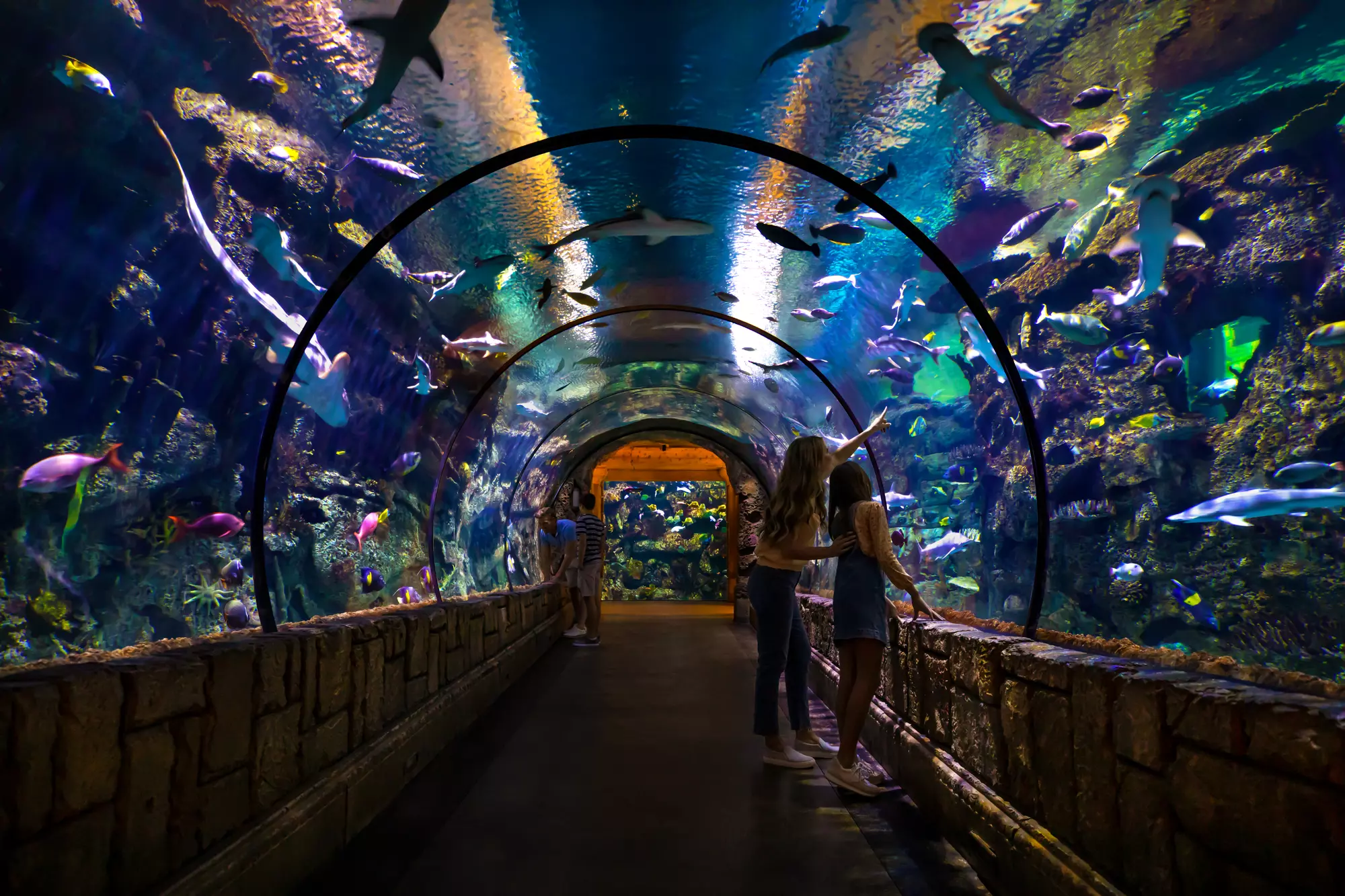Shark Reef Aquarium - Las Vegas Attractions