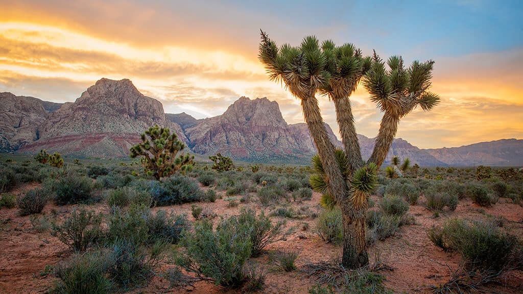 Spring Mountain Ranch State Park