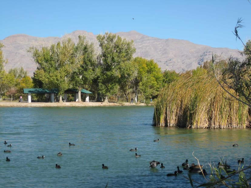 Floyd Lamb Park at Tule Springs in Las Vegas — A 680-acre former 1930s dude ranch turned city park in northwest Vegas with four spring-fed ponds, peacocks, and shaded picnic groves
