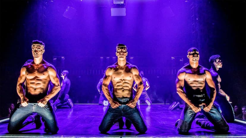 Magic Mike Live in Las Vegas — Channing Tatum's male-revue production at the Sahara — 21+, running in Vegas since 2017